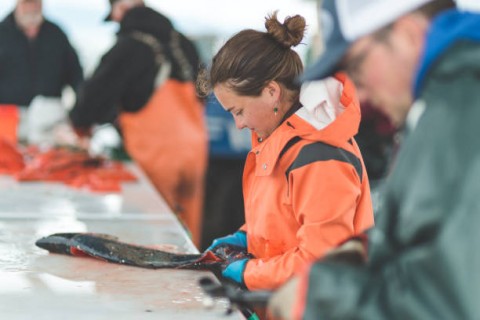 Perlindungan Tenaga KerjaPerikanan Memprihatinkan