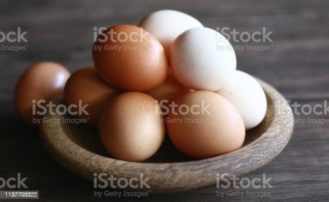 Problematika Peternak Ayam Telur, Bansos & Medsos Pengaruhi Harga