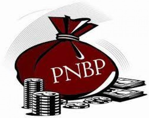 Penyelematan Penerimaan Negara, Sekat Baru Penghindaran Pajak