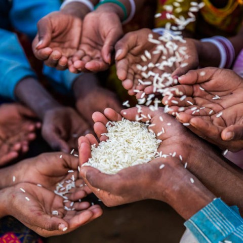 Alarm Bencana Pangan di NTT