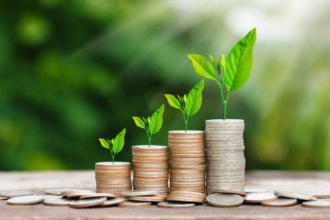 Imbal Hasil Reksadana Pasar Uang Kian Mengembang