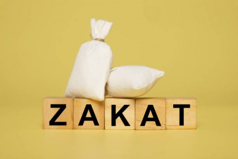 Zakat, Alternatif pendapatan dimasa Sulit