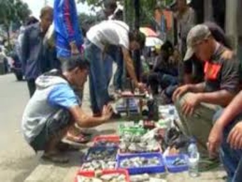 Bertahan Hidupdi Ujung Rawa Bunga