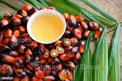 Penghiliran Sawit, Apical Group Perluas Produk