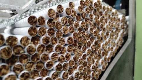 Pemerintah Harus Tegas Berantas Rokok Ilegal