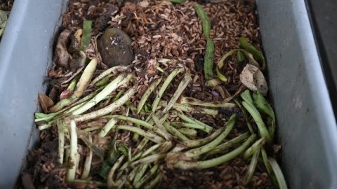 MenguraiSampah Jadi Rupiah dengan kolaborasi bersama