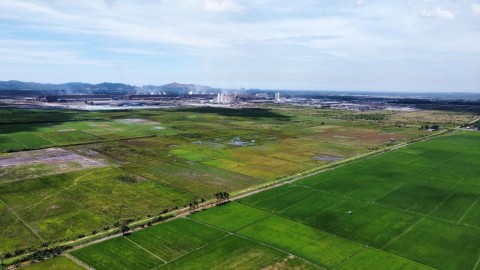 Kisah Sepetak Sawah dalam Kepungan Nikel