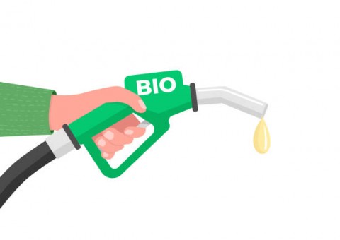 Kebutuhan Biodiesel Tahun
2023 Capai 13,148 Juta Kiloliter