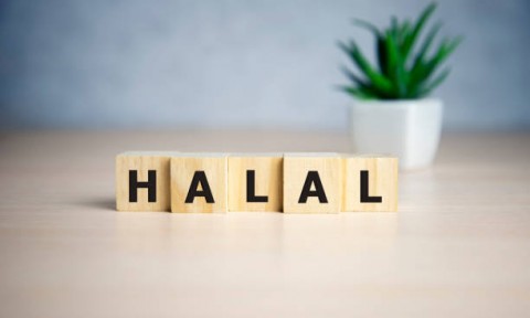 Mengoptimalkan Pasar Halal di Jepang