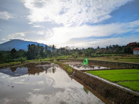 Reforma Agraria untuk Kesejateraan Rakyat