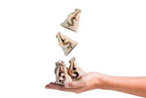 Surplus Bank Indonesia untuk Amunisi Kebijakan