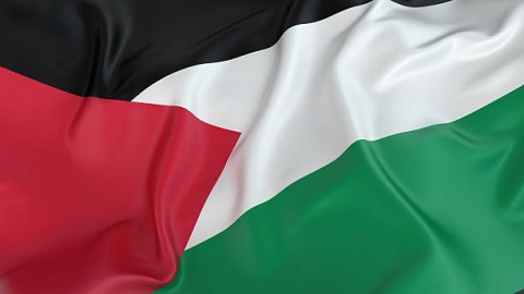 Pengakuan terhadap Palestina di PBB