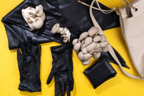 Adi Reza dan Annisa Wibi Ismarlant, Kulit dari Serat Jamuryang Mendunia