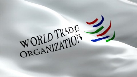 Sengketa Dagang dan WTO