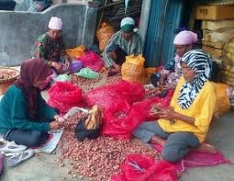 Pengupas Bawang di Pasar Induk Kramat Jati