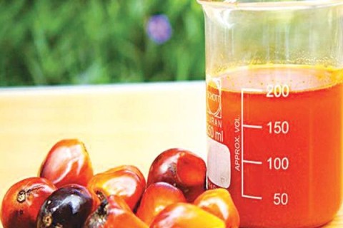 KINERJA SEKTORAL : PANEN CUAN EMITEN CPO BERLANJUT