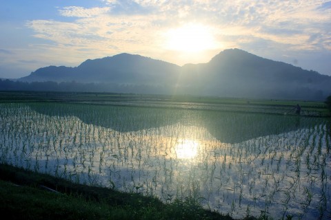 Ekonomi Indonesia Disarankan Beralih Fokus