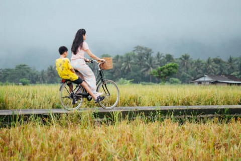 Program Desa Devisadi Hulu Sungai Utara