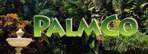 Naikkan Daya Saing, PTPN Bentuk ”Subholding”