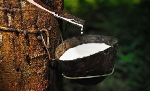 Mengawal Geliat Sektor Manufaktur