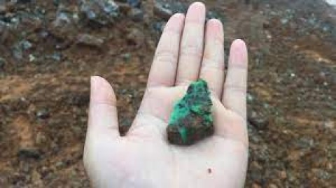 Penghiliran Nikel, IBC Tatap Pasar Eropa & China