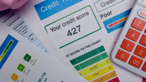 Optimalisasi Kredit Usaha Alsintan Dukung Pertumbuhan Ekonomi