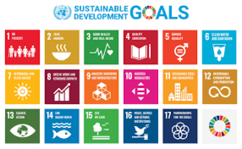 Pencapaian SDG & Peran RI