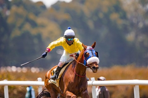 Gerak Cepat Mengejar Potensi Pajak Digital Rp 10 Triliun