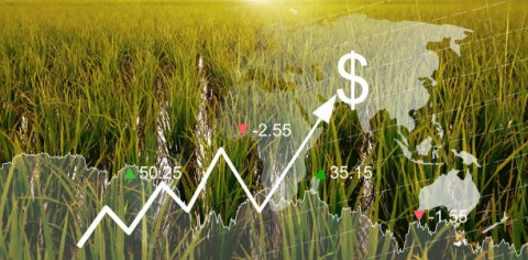 Antisipasi Krisis Pangan Global