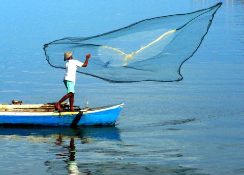 Potensi Perikanan Pantura, PPI Gebang Didorong Maju