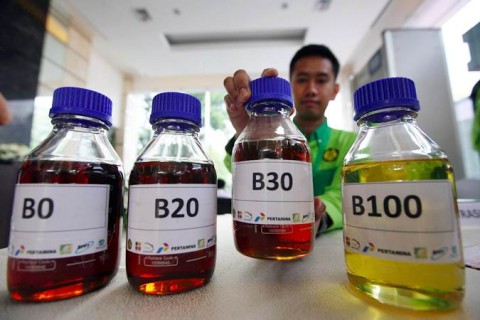 Optimalisasi Pemanfaatan Biodiesel