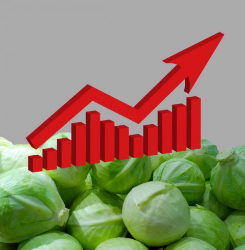 Inflasi Makin Bebani Petani