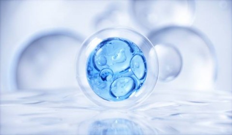 Butuh Komitmen Bersama Atasi Air dan Sanitasi 