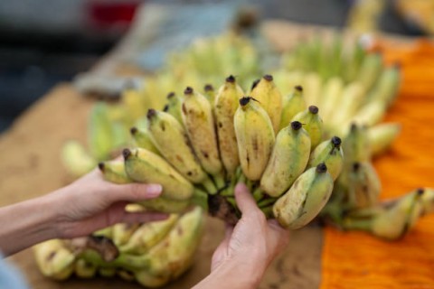 Di NTT, Uang Hasil Jual Buah Pisang Di NTT, Dipakai untuk Beli Kue Pisang