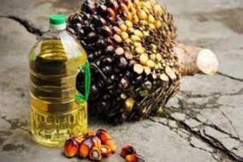 EKSPOR MINYAK SAWIT : PEMERINTAH DIDESAK HAPUS DMO