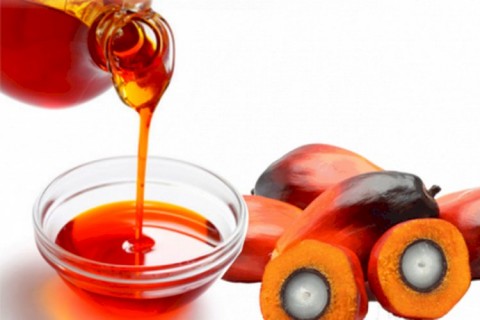 Pembangunan Pabrik Minyak Makan Merah Ditempuh lewat Jalur Cepat