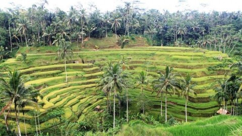 Sumber Daya Alam dan Transparansi Ekstraksi