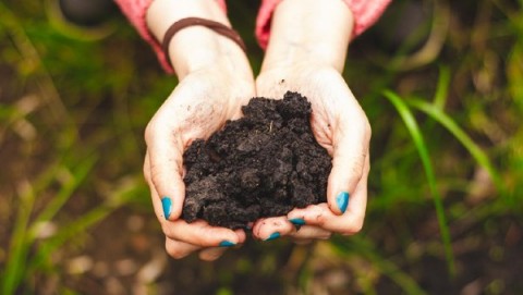 SAMF Memupuk Kinerja Tumbuh 7%