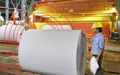 INKP Tertekan Harga Pulp Global