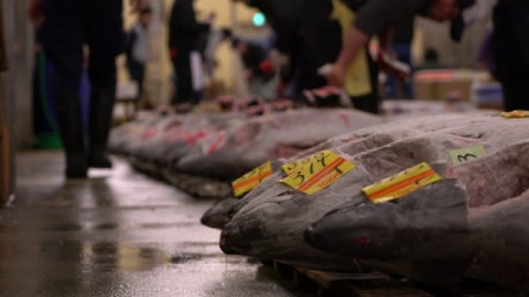 RI Peroleh US$ 58 Juta di Pameran Seafood Amerika