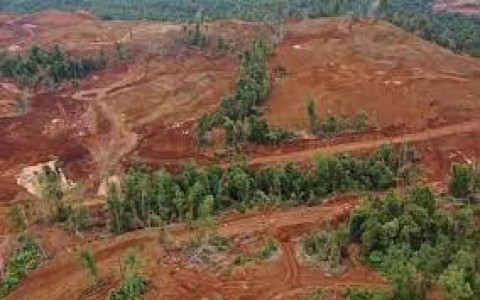 Ekspansi Nikel
Picu Deforestasi
25.000 Hektar