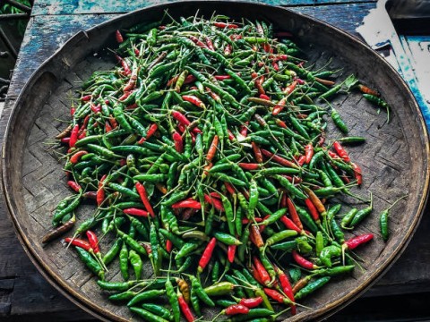 Cabai Rawit di PapuaCapai Rp 90.000 Per Kg