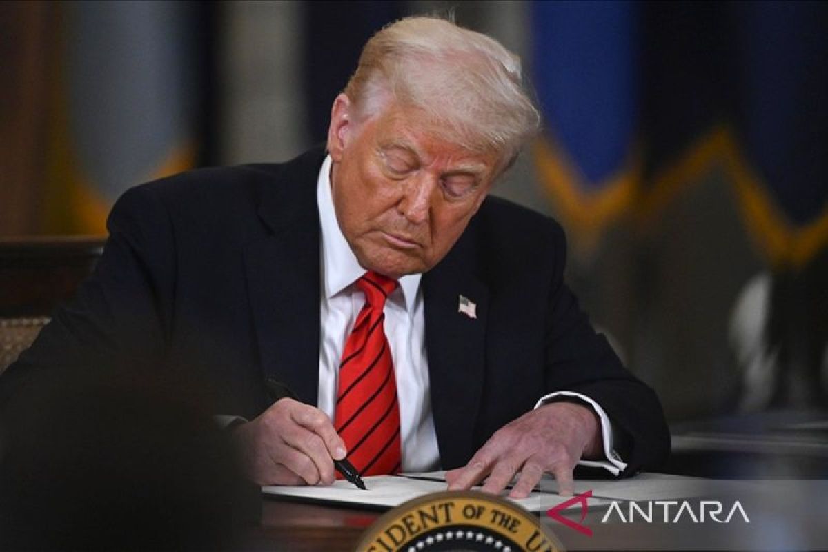 Ketika Tarif Trump Tidak Menghambat Pertumbuhan Ekspor Indonesia ke Amerika Serikat