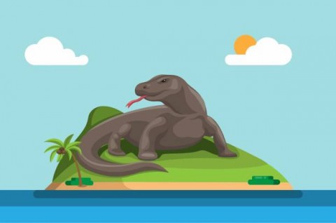 Kisruh Labuan Bajo Merusak Citra
